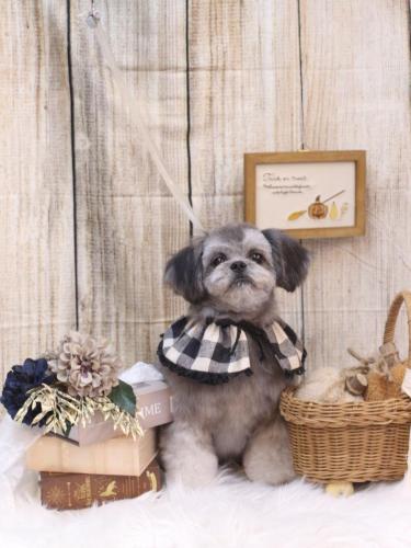 20241026パンくん